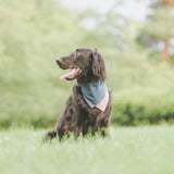 バンダナ首輪　フラワーエトデニム