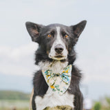 バンダナ首輪　リボンフラワー