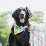 バンダナ首輪　リボンフラワー